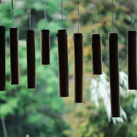 Zen Home Resort & Garden @ 파야오 외부 사진